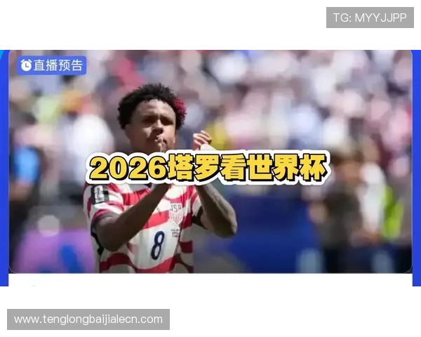 世界杯土耳其对美国比赛高清录像回放，比赛战术分析与精彩片段集锦